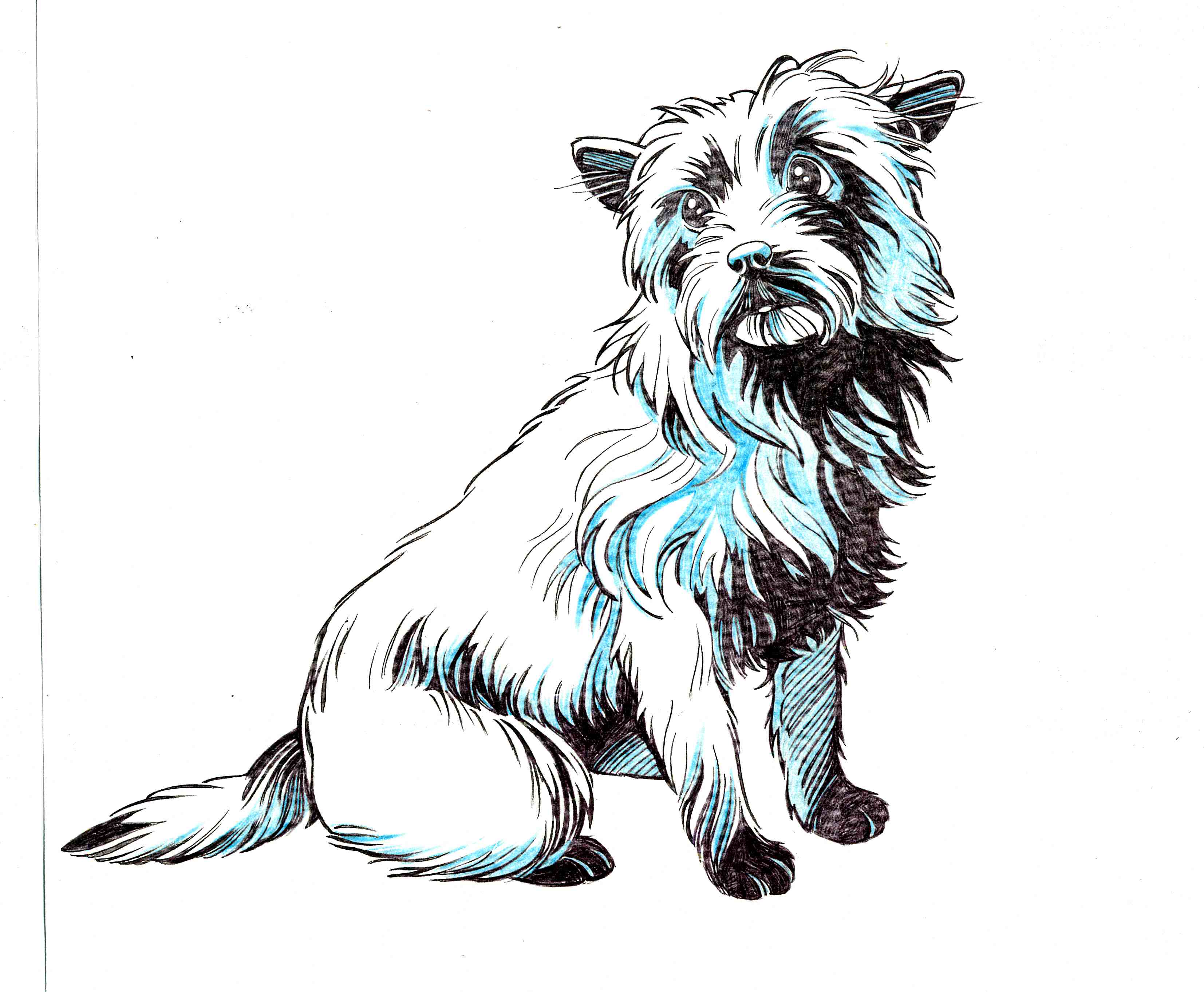 Wizard Of Oz Toto By Jerome K Moore On Deviantart Wizard Of Oz Toto By Jerome K Moore On Deviantart
