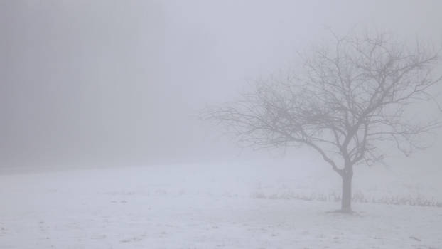 Wind and Wuthering