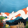 One Spot Bay: Red Cap Oranda - 11884