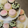 Miniature Cupcakes