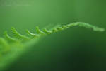 greeeen... by TheRedGirl