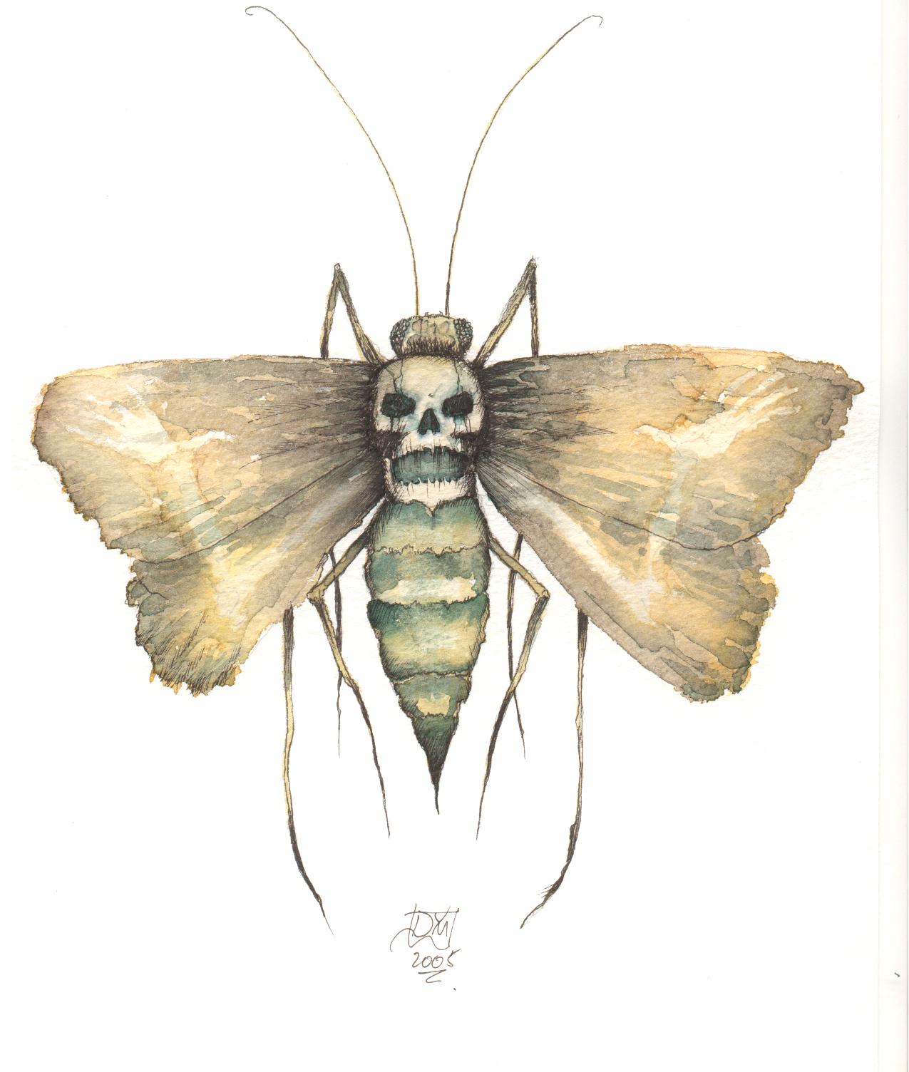 the happy death moth