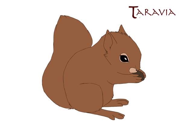 Squirrel animation by Taravia on DeviantArt Squirrel animation by Taravia on DeviantArt