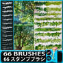 Foliage Leaves Brushes for Photoshop and Procreate