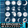 60 Moon Phase Brushes PS and Procreate