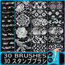 30 Lace Embroidery: PS and Procreate brushes