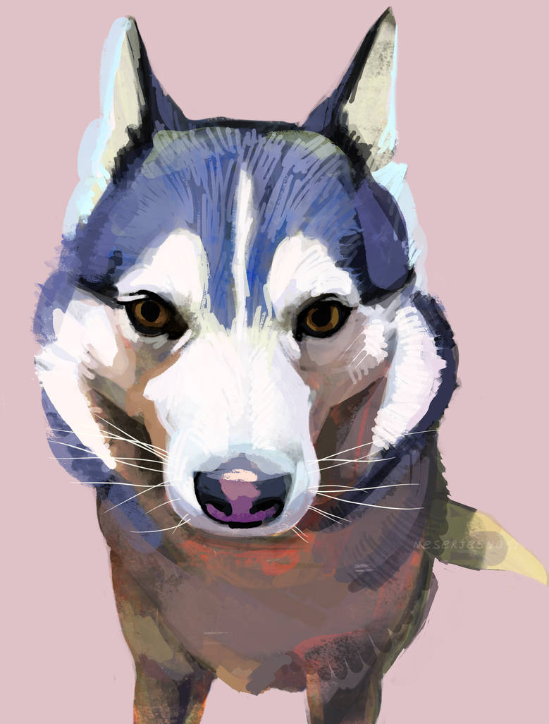 Muha Draw Muha by neserjesno on DeviantArt
