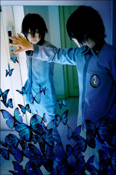 Cosplay : Dream Of Butterfly