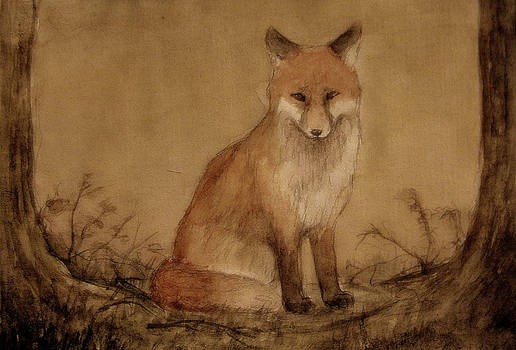 young fox