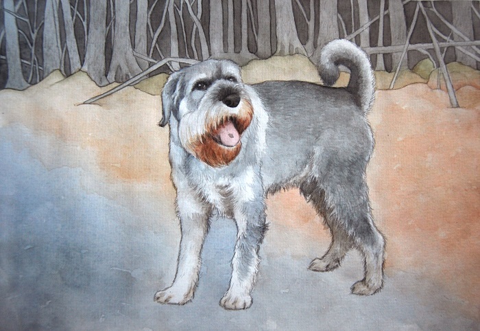 schnauzer