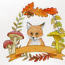 Autumn fox