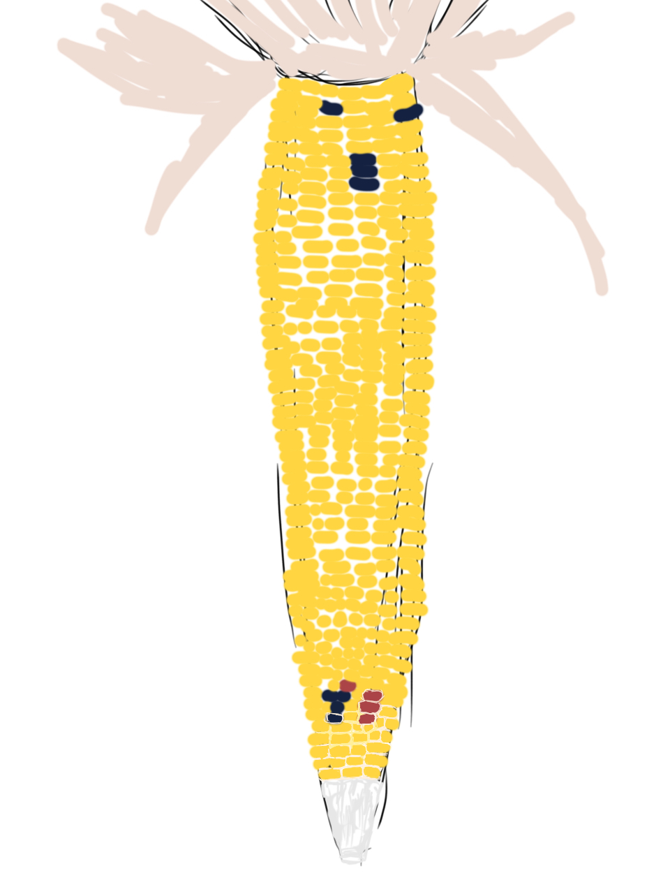 Corn by darisabel on DeviantArt