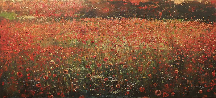 Poppies