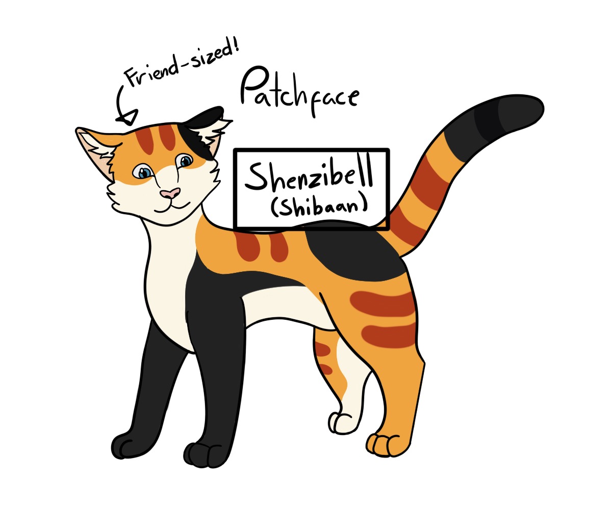 Patchface Reference Sheet by shenzibell on DeviantArt