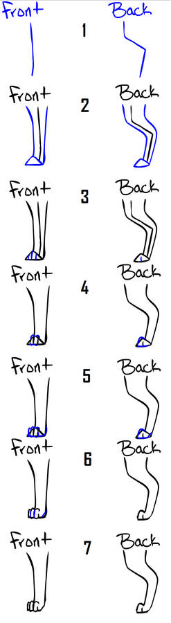 How to draw Dog_Cat legs_feet