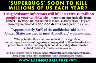 Antibiotic Resistance due to Animal Agriculture