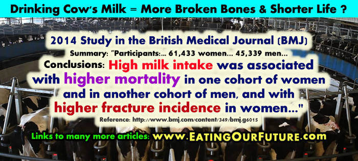 Drink Cow Milk 4 More Broken Bones + Shorter Life