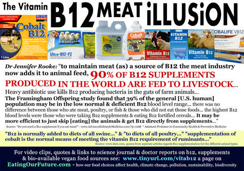 Vitamin B12 Facts Deficiency Supplements Vegans