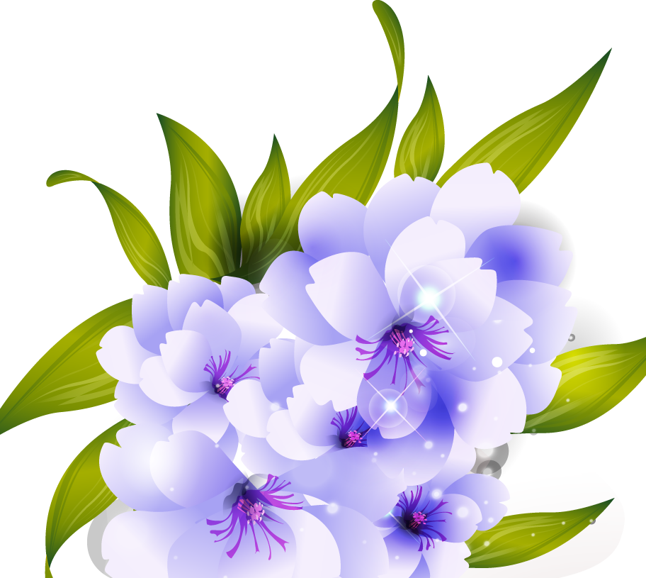 Flower Vector HQ PNG