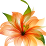 Flower Vector HQ PNG