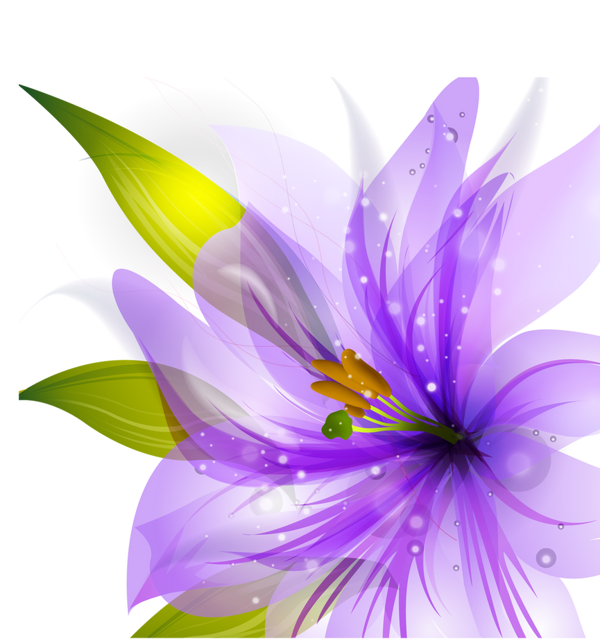 Download Flower Vector HQ PNG by cherryproductionsorg on DeviantArt
