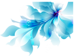 Flower Vector HQ PNG