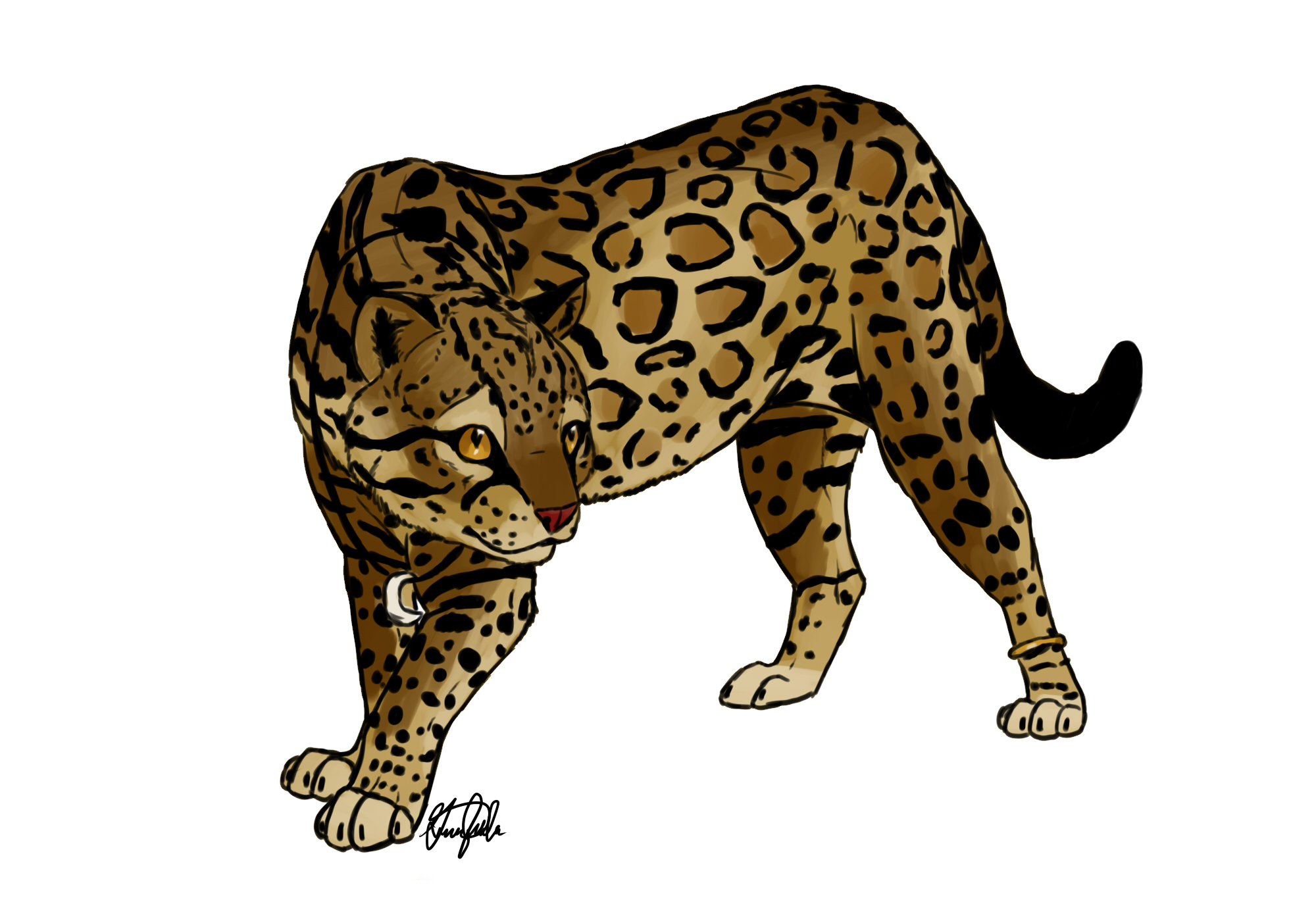 Ocelot