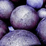 purple balls