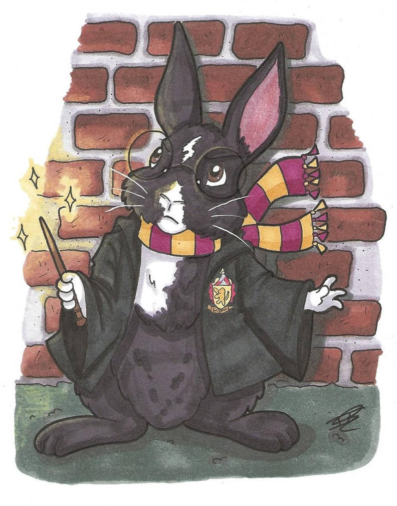 Harry Bunny by Iskeanime16 on DeviantArt