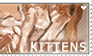 F2U Kitten Stamp