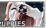F2U Puppy Stamp