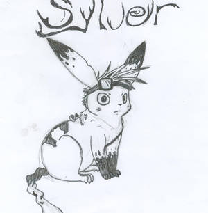 Sylver My pokesona