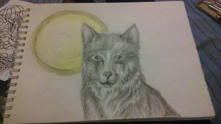 A wolf for Kaydence