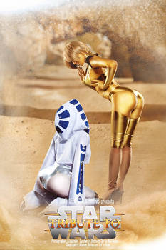 C-3PO and R2D2