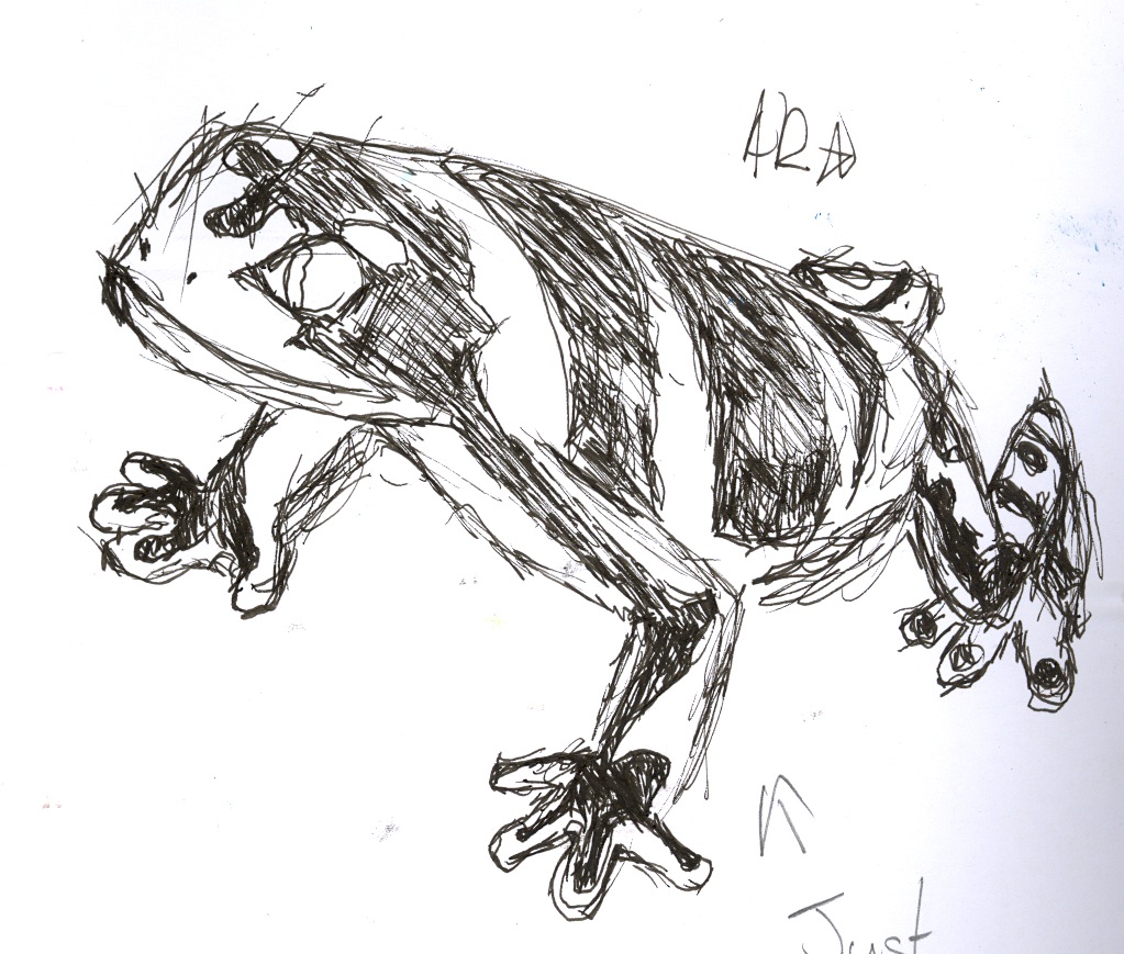 left handed frog drawing