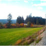 Autumn Roads