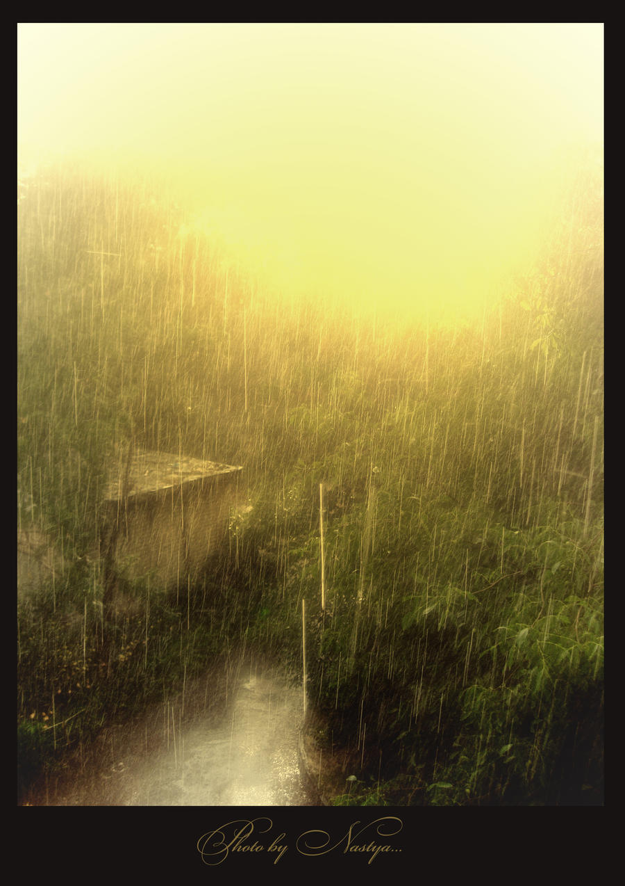 sunny rain