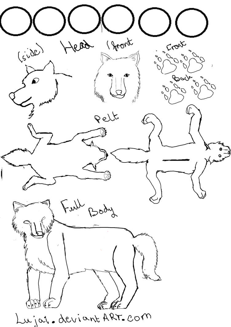 Wolf Reference Format Free Use Wolf Reference Sheet by Lujai on DeviantArt