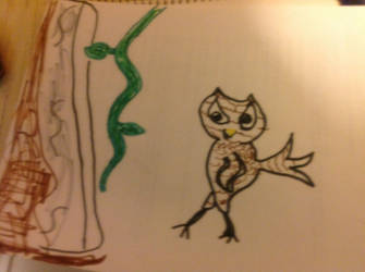 Evil/Crazy Owl!