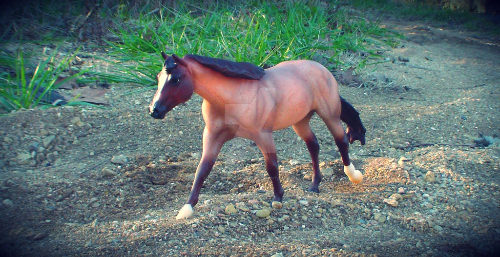 The Long Rode by 123mybreyerhorsies on DeviantArt