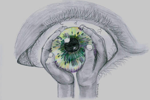 the eye [2]
