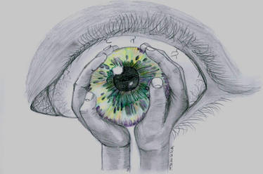 the eye [2]
