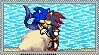 Meirhog Sonic x Shadow stamp