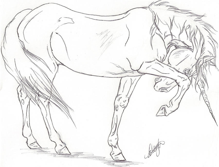 hide me lineart