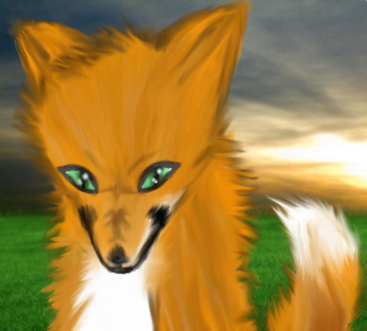Teh Fox by Rave-Neko on DeviantArt