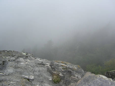 Fog at the summit