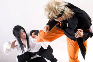 Naruto vs. Neji