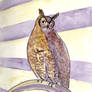 13. Great Horned Owl