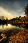 Fleeting Gold by Argolith