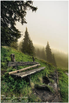 Benches After the Rain III